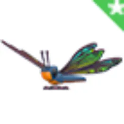 Clubtail Dragonfly