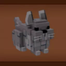 Chinchilla