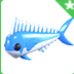 Diamond Mahi Mahi (Friendship)