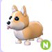 Corgi N | Adopt Me⚡ Fast Delivery ⚡