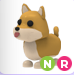Shiba Inu NR | Adopt Me⚡ Fast Delivery ⚡