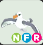 Albatross ▪️NFR🐸Ultra-Rare🚀Pets⚡24/7 Online🚀