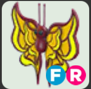 Amber Butterfly ▪️FR🐸Rare🚀Pets⚡24/7 Online🚀