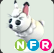 Arctic Hare ▪️NFR🐸Uncommon🚀Pets⚡24/7 Online🚀