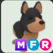 Australian Kelpie ▪️MFR🐸Rare🚀Pets⚡24/7 Online🚀