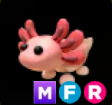 Axolotl ▪️MFR🐸Legendary🚀Pets⚡24/7 Online🚀