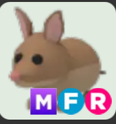 Bandicoot ▪️MFR🐸Common🚀Pets⚡24/7 Online🚀