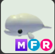 Beluga Whale ▪️MFR🐸Common🚀Pets⚡24/7 Online🚀