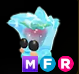 Berry Cool Cube ▪️MFR🐸Legendary🚀Pets⚡24/7 Online🚀