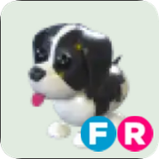 Black Springer Spaniel ▪️FR🐸Ultra-Rare🚀Pets⚡24/7 Online🚀