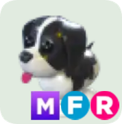 Black Springer Spaniel ▪️MFR🐸Ultra-Rare🚀Pets⚡24/7 Online🚀