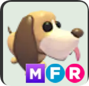 Bloodhound ▪️MFR🐸Rare🚀Pets⚡24/7 Online🚀