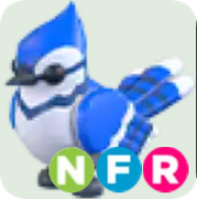 Blue Jay ▪️NFR🐸Rare🚀Pets⚡24/7 Online🚀