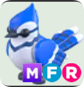 Blue Jay ▪️MFR🐸Rare🚀Pets⚡24/7 Online🚀