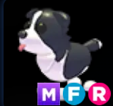 Border Collie ▪️MFR🐸Rare🚀Pets⚡24/7 Online🚀