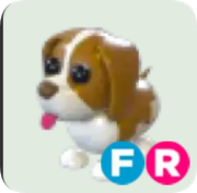 Brown Springer Spaniel ▪️FR🐸Ultra-Rare🚀Pets⚡24/7 Online🚀
