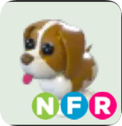 Brown Springer Spaniel ▪️NFR🐸Ultra-Rare🚀Pets⚡24/7 Online🚀