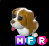 Brown Springer Spaniel ▪️MFR🐸Ultra-Rare🚀Pets⚡24/7 Online🚀