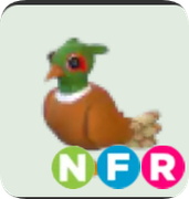 Brown-Chested Pheasant ▪️NFR🐸Ultra-Rare🚀Pets⚡24/7 Online🚀