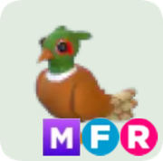 Brown-Chested Pheasant ▪️MFR🐸Ultra-Rare🚀Pets⚡24/7 Online🚀