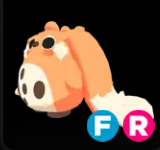 Cabbit ▪️FR🐸Ultra-Rare🚀Pets⚡24/7 Online🚀