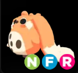 Cabbit ▪️NFR🐸Ultra-Rare🚀Pets⚡24/7 Online🚀