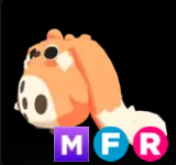 Cabbit ▪️MFR🐸Ultra-Rare🚀Pets⚡24/7 Online🚀