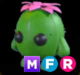 Cactus Friend ▪️MFR🐸Legendary🚀Pets⚡24/7 Online🚀