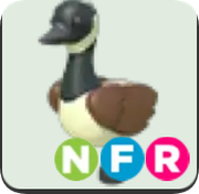 Canadian Goose ▪️NFR🐸Uncommon🚀Pets⚡24/7 Online🚀