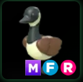 Canadian Goose ▪️MFR🐸Uncommon🚀Pets⚡24/7 Online🚀