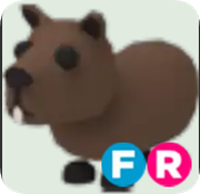 Capybara ▪️FR🐸Uncommon🚀Pets⚡24/7 Online🚀