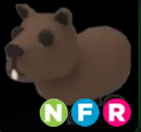 Capybara ▪️NFR🐸Uncommon🚀Pets⚡24/7 Online🚀