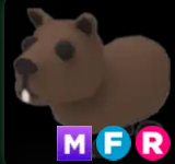 Capybara ▪️MFR🐸Uncommon🚀Pets⚡24/7 Online🚀