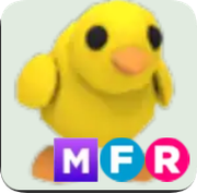 Chick ▪️MFR🐸Common🚀Pets⚡24/7 Online🚀