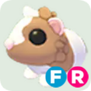 Chocolate Dutch Guinea Pig ▪️FR🐸Ultra-Rare🚀Pets⚡24/7 Online🚀
