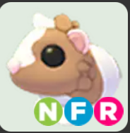 Chocolate Dutch Guinea Pig ▪️NFR🐸Ultra-Rare🚀Pets⚡24/7 Online🚀