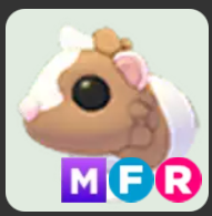 Chocolate Dutch Guinea Pig ▪️MFR🐸Ultra-Rare🚀Pets⚡24/7 Online🚀