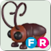 Cockroach ▪️FR🐸Common🚀Pets⚡24/7 Online🚀