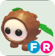 Coconut Friend ▪️FR🐸Legendary🚀Pets⚡24/7 Online🚀