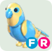 Diamond Amazon ▪️FR🐸Legendary🚀Pets⚡24/7 Online🚀