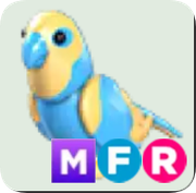 Diamond Amazon ▪️MFR🐸Legendary🚀Pets⚡24/7 Online🚀