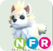 Dire Wolf ▪️NFR🐸Legendary🚀Pets⚡24/7 Online🚀
