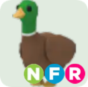 Drake ▪️NFR🐸Uncommon🚀Pets⚡24/7 Online🚀