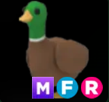 Drake ▪️MFR🐸Uncommon🚀Pets⚡24/7 Online🚀