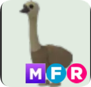 Emu ▪️MFR🐸Rare🚀Pets⚡24/7 Online🚀