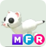Ermine ▪️MFR🐸Uncommon🚀Pets⚡24/7 Online🚀