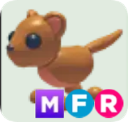 Fossa ▪️MFR🐸Uncommon🚀Pets⚡24/7 Online🚀