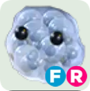 Frogspawn ▪️FR🐸Uncommon🚀Pets⚡24/7 Online🚀
