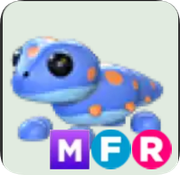 Gecko ▪️MFR🐸Rare🚀Pets⚡24/7 Online🚀