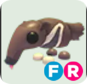 Giant Anteater ▪️FR🐸Rare🚀Pets⚡24/7 Online🚀